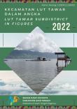 Lut Tawar Subdistrict In Figures 2022